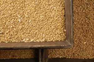 Petra - Farine produit italien