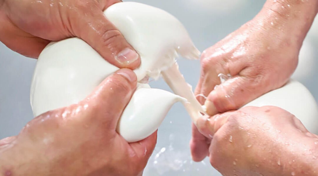 La mozzarella chez Barlotti