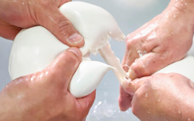 La mozzarella chez Barlotti