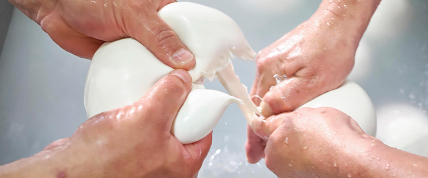 visuel_page_producteurs_storia-e-sapori_barlotti Mozzarella Barlotti